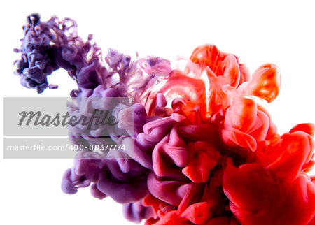 purople red abstract art ink on white isolated background