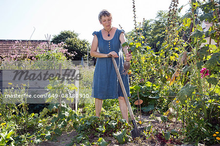 Mature woman gardening, digging with spade, holding vegetable in hand