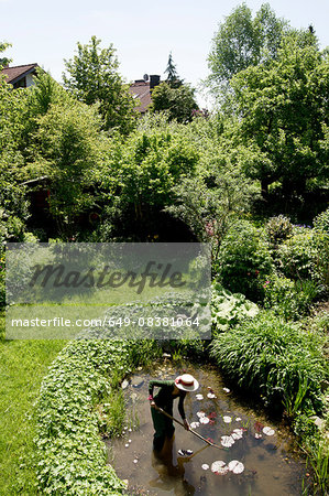 High angle view of mature woman in garden cleaning out pond
