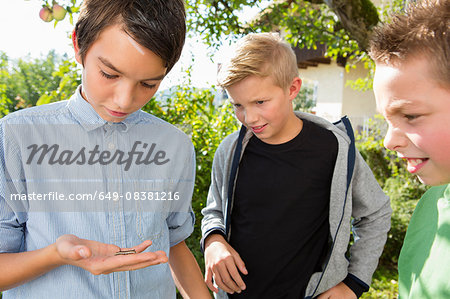 Teenage boy and brothers in garden staring at caterpillar