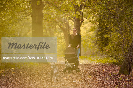 Dog running in front of mid adult mother pushing baby carriage in autumn park