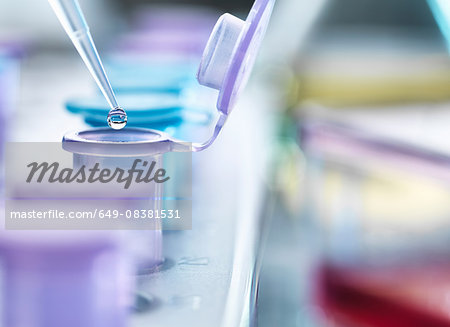 Pipetting droplets of liquid into eppendorf tubes, side view