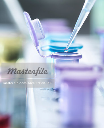 Pipetting droplets of liquid into eppendorf tubes, side view Pipetting droplets of liquid into eppendorf tubes, side view