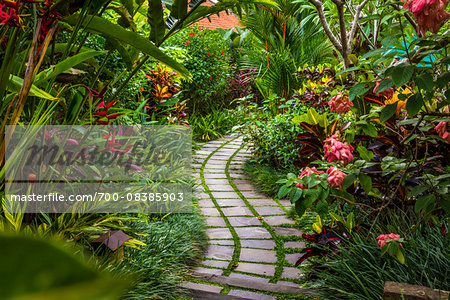 Pathway through gardens in Petulu, near Ubud, Bali, Indonesia