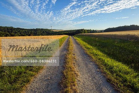 Countryside with Path through Field in Summer, Reichartshausen, Miltenberg District, Bavaria, Germany