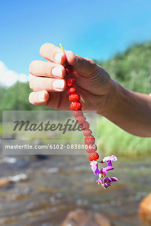 Hand holding wild strawberries