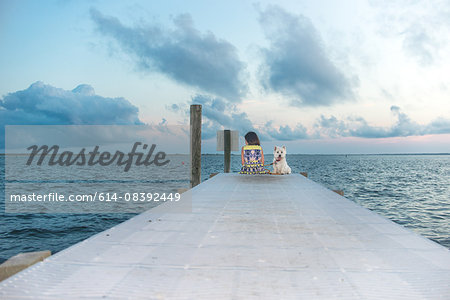 Portrait of dog sitting on sea pier next to girl