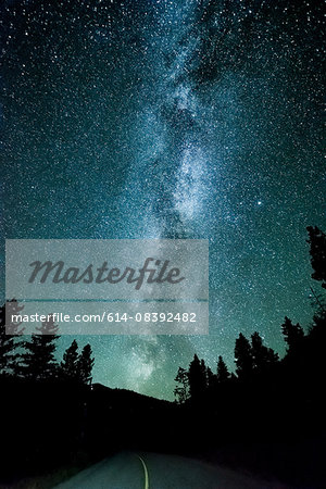 Forest road and milky way at night, Penticton, British Columbia, Canada