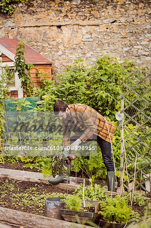 Young man holding beetroot