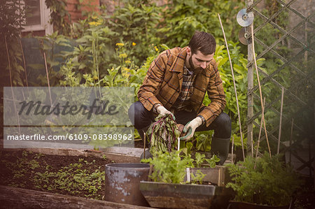 Young man holding vegetables