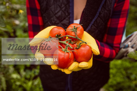 Woman with gloves holding tomato