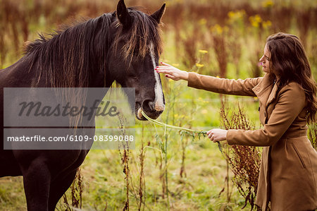 Woman feeding horse grass