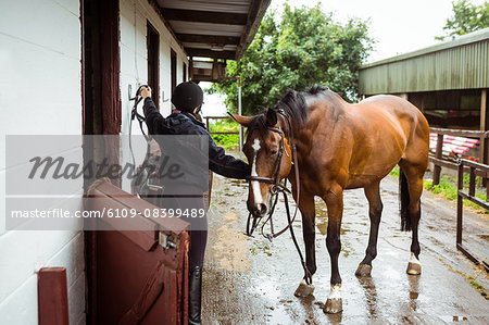 Pretty woman taking care of her horse