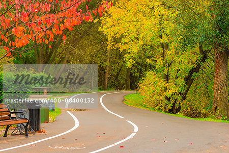 bicycle path with turn in the autumn park