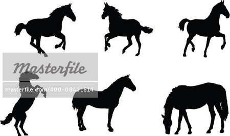 The set of 6 horse silhouette available in high-resolution and several sizes to fit the needs of your project.