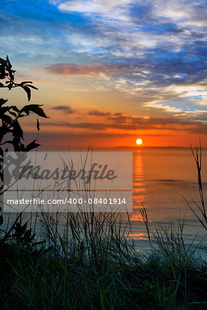 beautiful orange sunset over loop head with silhouetted wild tall grass on the wild atlantic way in ireland