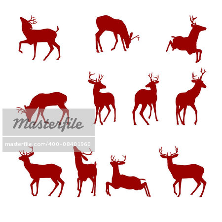 Various silhouettes of deer isolated on white background