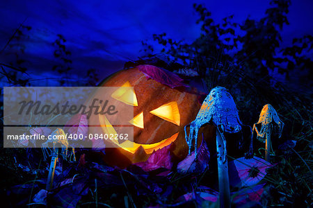 Halloween pumpkin at night in the garden between the fabulous fungi.