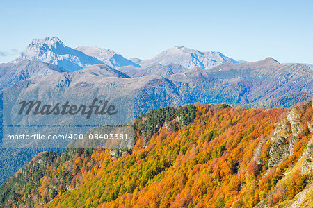 Autumn view of the trees on the cliffs.