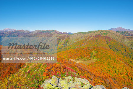 Autumn view of the forests in the mountains