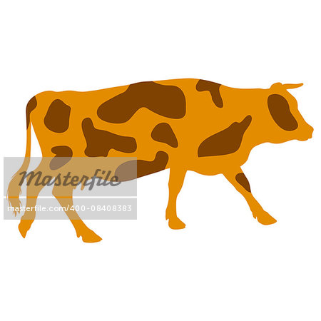 Silhouettes of spotted cow. Vector illustration.