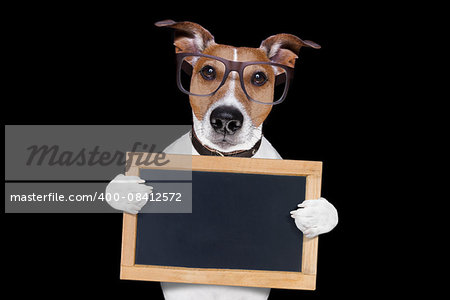 jack russell terrier dog isolated on black background holding blackboard,  with glasses , looking very smart and cool