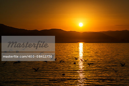 sunrise with seagrulls over the mountains in the Chilean Pacific Ocean