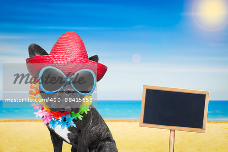 french bulldog dog at the beach with hat and sunglasses , relaxing summer vacation holidays, ocean shore as background, placard or blackboard inlcuded
