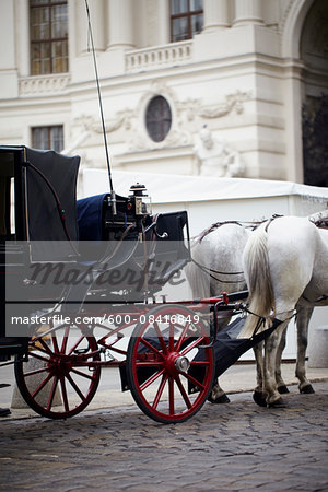 Horse-Drawn Carriage for Sightseeing Tour, Vienna, Austria