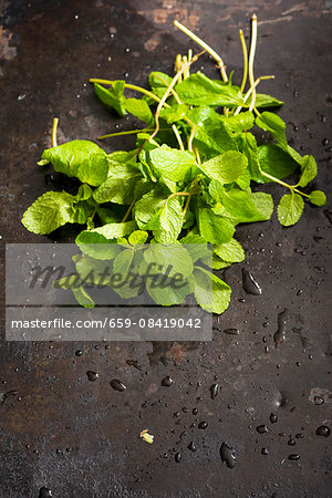 Freshly washed mint (seen from above) Freshly washed mint (seen from above)