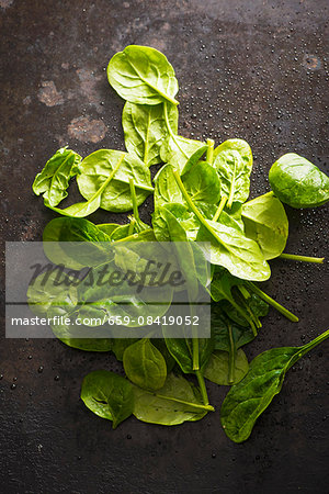 Freshly washed spinach