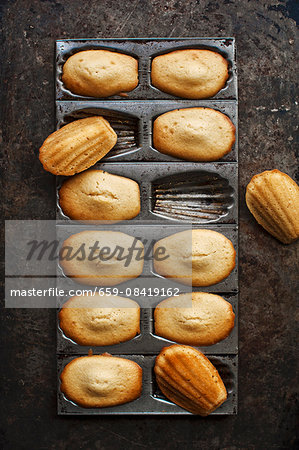 Madeleines in a baking tin (seen from above)