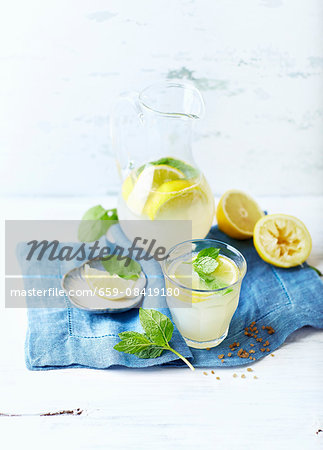 Lemonade with lemon wedges and mint Lemonade with lemon wedges and mint