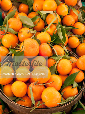 Navel oranges with leaves in a basket