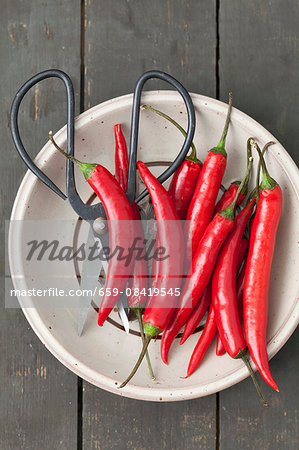 Red chilli peppers and a pair of herb scissors