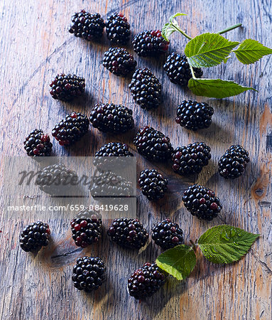 Blackberries and blackberry leaves