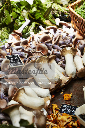 Fresh organic mushrooms on a market stand