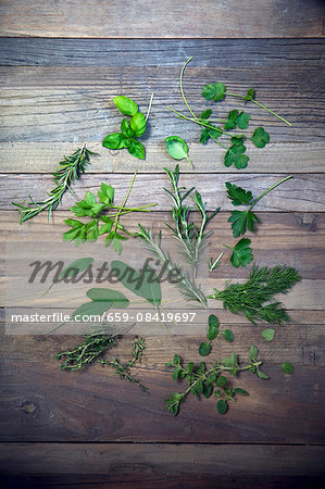 Various herbs (parsley, dill, oregano, thyme, sage, rosemary, lovage, coriander, basil) on a wooden surface