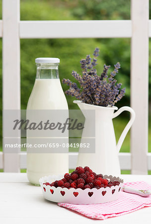 A bottle of milk, a jug of lavender and fresh berries on a garden table