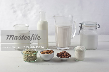Various types of vegan milk with ingredients