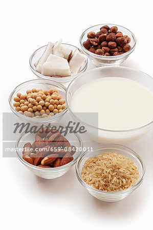 Ingredients for vegan milk: nuts, rice and legumes