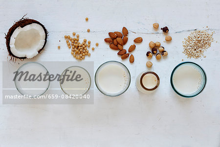 Various types of vegan milk in glasses