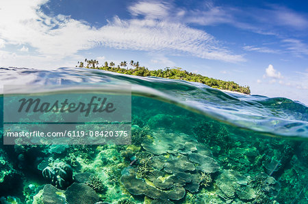Half above and half below on a remote small Islet in the Badas Island Group off Borneo, Indonesia, Southeast Asia, Asia