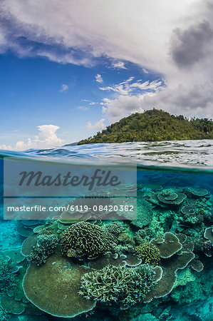 Half above and half below view of coral reef at Pulau Setaih Island, Natuna Archipelago, Indonesia, Southeast Asia, Asia