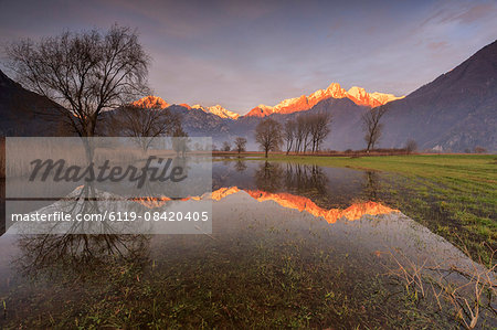 Natural reserve of Pian di Spagna  flooded with snowy peaks reflected in the water at sunset, Valtellina, Lombardy, Italy, Europe