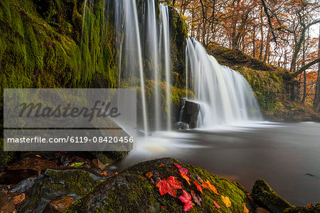 Sqwd Ddwli Waterfall, near Pontneddfechan, Afon Pyrddin, Powys, Brecon Beacons National Park, Wales, United Kingdom, Europe