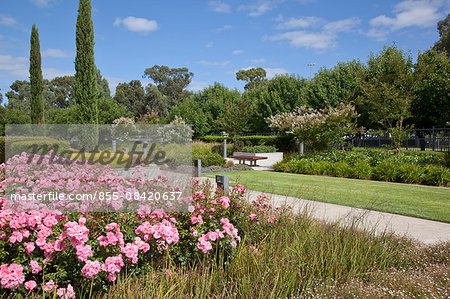 Garden, Adelaide, South Australia