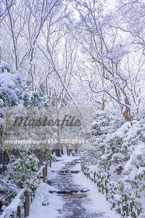 Gio-ji Temple in snow, Sagano, Kyoto, Japan Gio-ji Temple in snow, Sagano, Kyoto, Japan