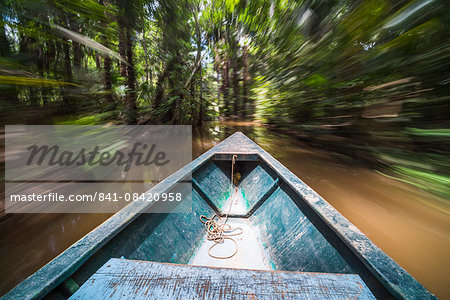 Canoe boat trip in Amazon Jungle of Peru, by Sandoval Lake in Tambopata National Reserve, Peru, South America