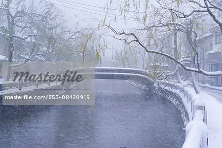 Snow on Otani river, Kinosaki Onsens (Hot springs) in winter. Kinosaki Hyogo Prefecture, Kansai, Japan